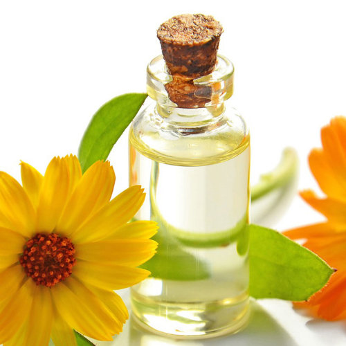 Экстракт Календулы масляный  