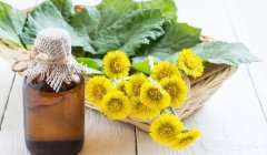 Экстракт Мать-и-мачехи масляный