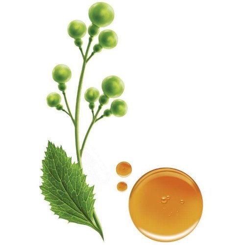 Масло Крамбе рафинированное оптом